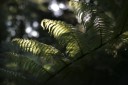 IMG_0162