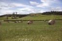 IMG_0403