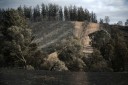 IMG_7966