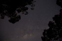 IMG_8255