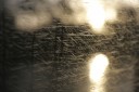 IMG_9470